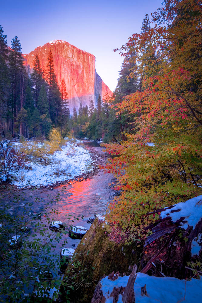 Yosemite Snowliage