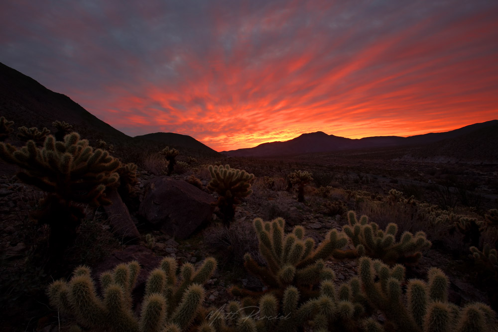 Anza Borrego State Park Sunrise - Dramatic desert sunrise with vibrant colors