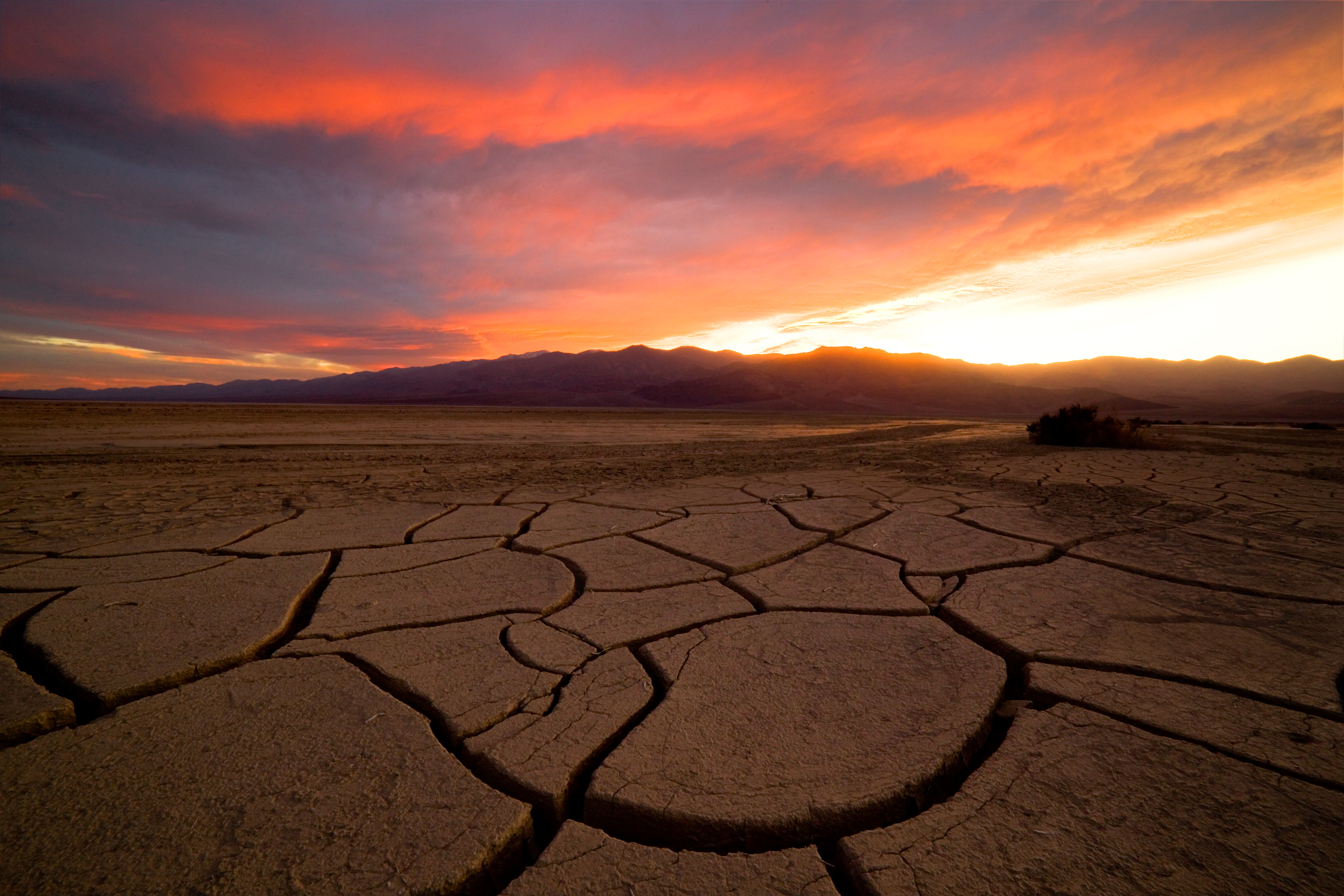 Death Valley Mudcracks